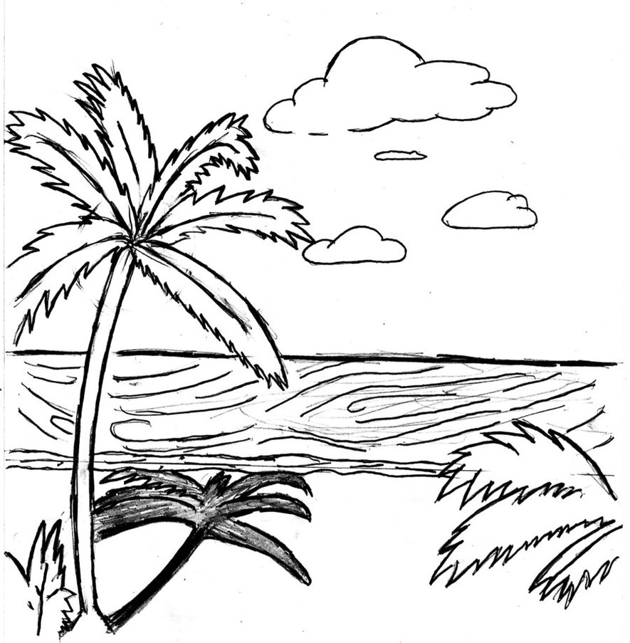 885x903 Beach Scene Coloring Pages Images