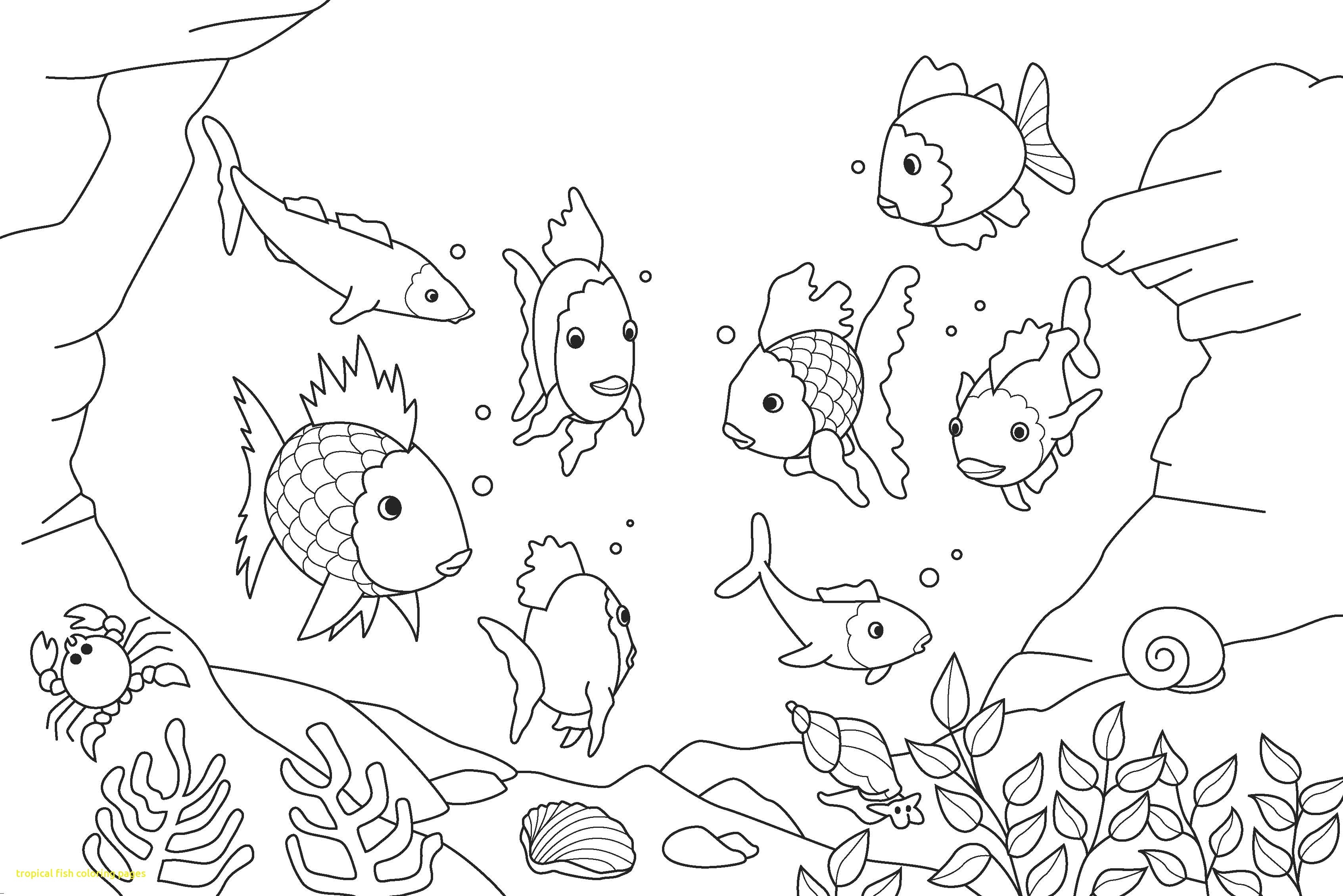 3386x2260 Tropical Coloring Pages To Print