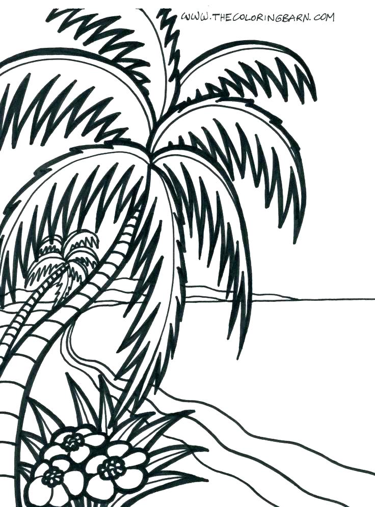736x996 Coloring Pages Of Beach Toys Themed Best Page Pictures As Well