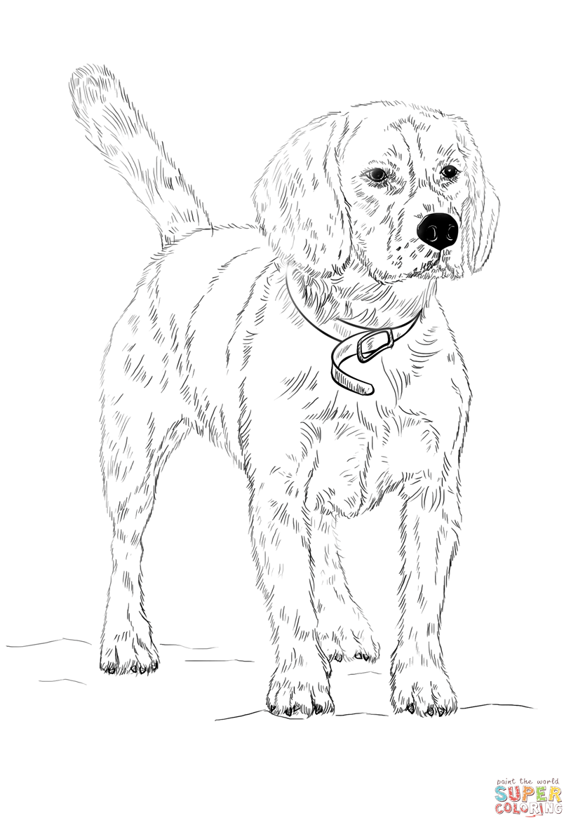 824x1186 Edge Beagle Coloring Pages Page Free Printable