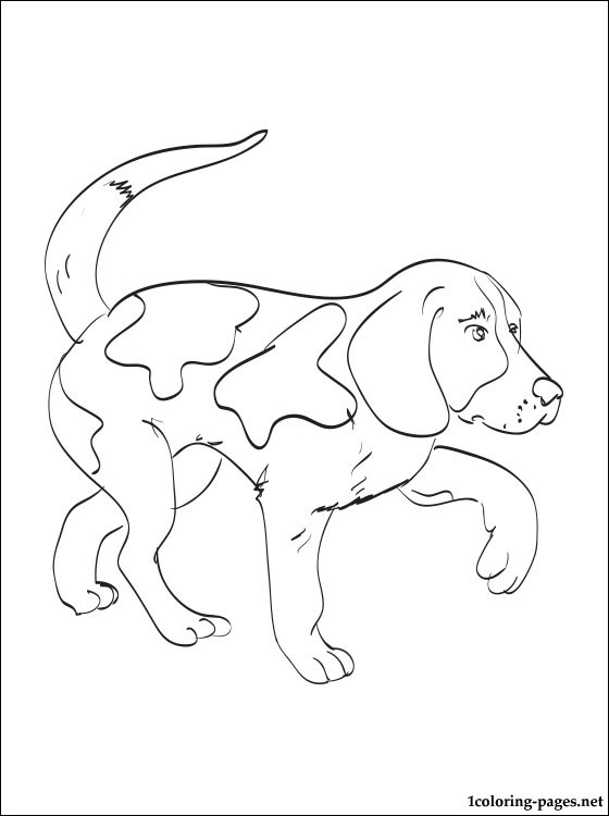 560x750 Kerry Beagle Coloring Page Coloring Pages