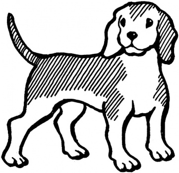 361x350 Dog Color Pages Printable Beagle Coloring Page Super Coloring