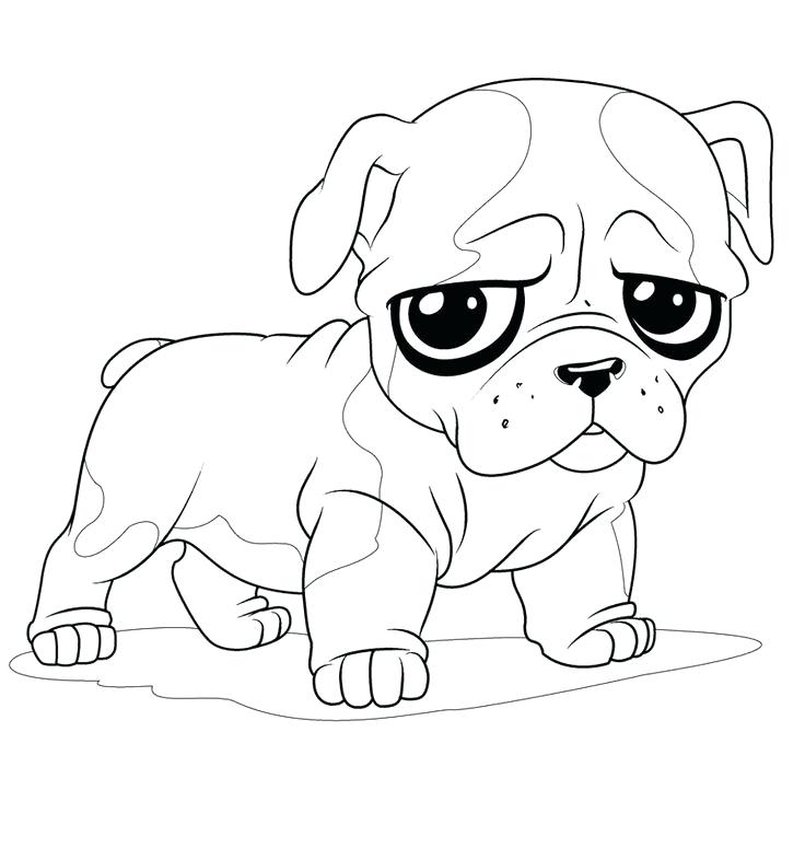 736x775 Beagle Coloring Pages Pug Coloring Pages To Print Dog Beagle