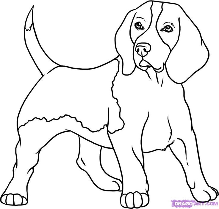 736x703 Shiloh Coloring Pages Shiloh, Art Activities