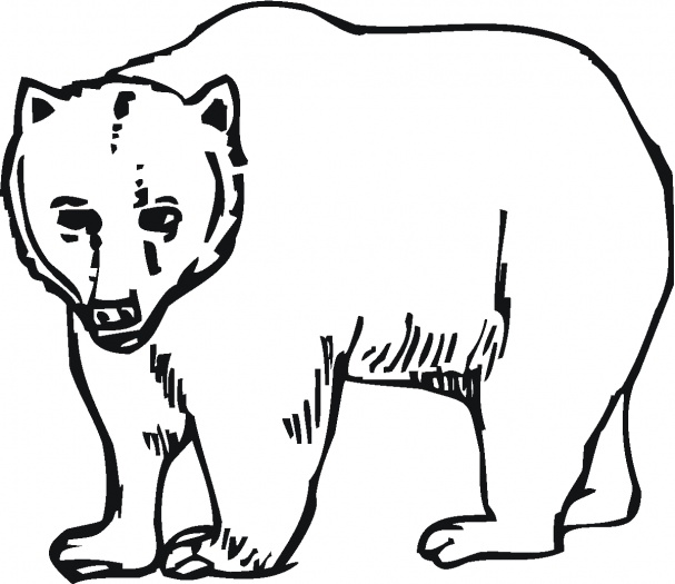 607x525 Bear Print Out Bear Coloring Pages 1 Coloring Kids Cowboys