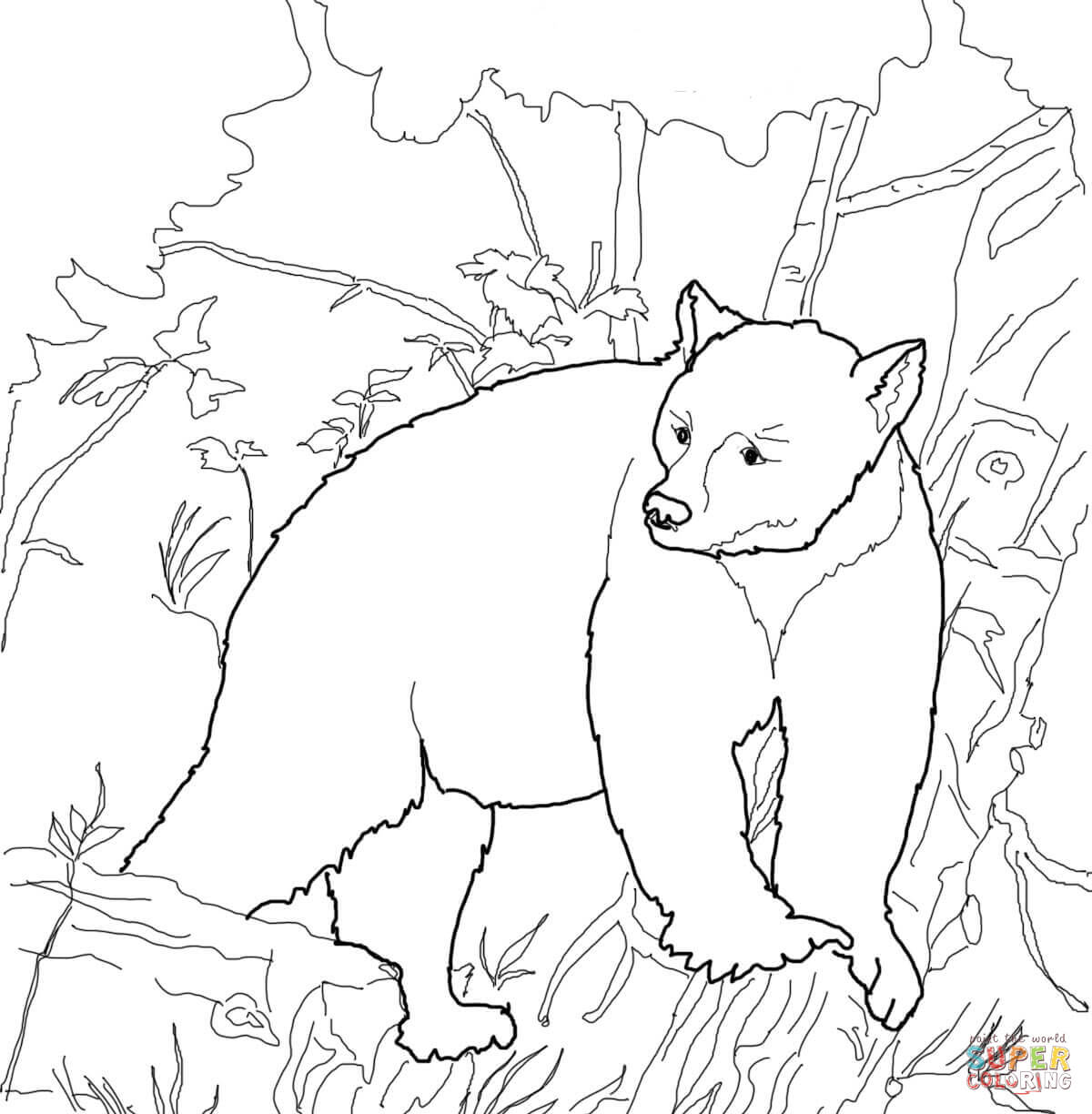 1200x1224 Surprise Colouring Pictures Of Bears Free Prin