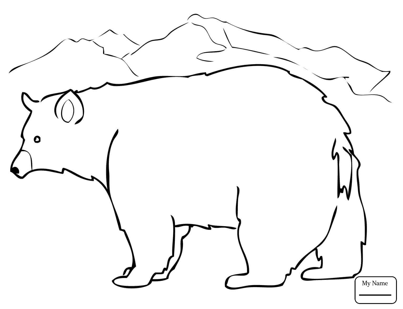 Bear Cub Coloring Pages