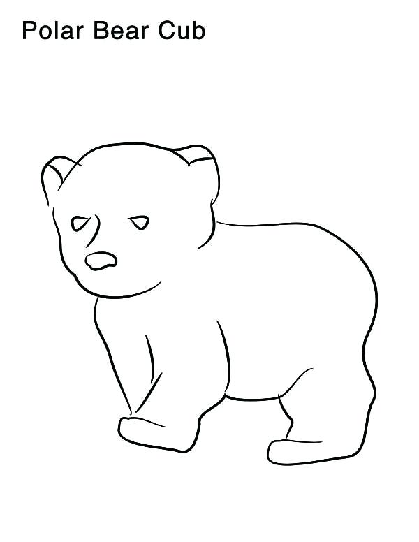 600x776 Coloring Pages Of Polar Bears Coloring Pages Draw A Polar Bear