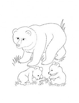 278x360 Cub Scout Coloring Pages Coloring Pages Bear Cub (Preschool