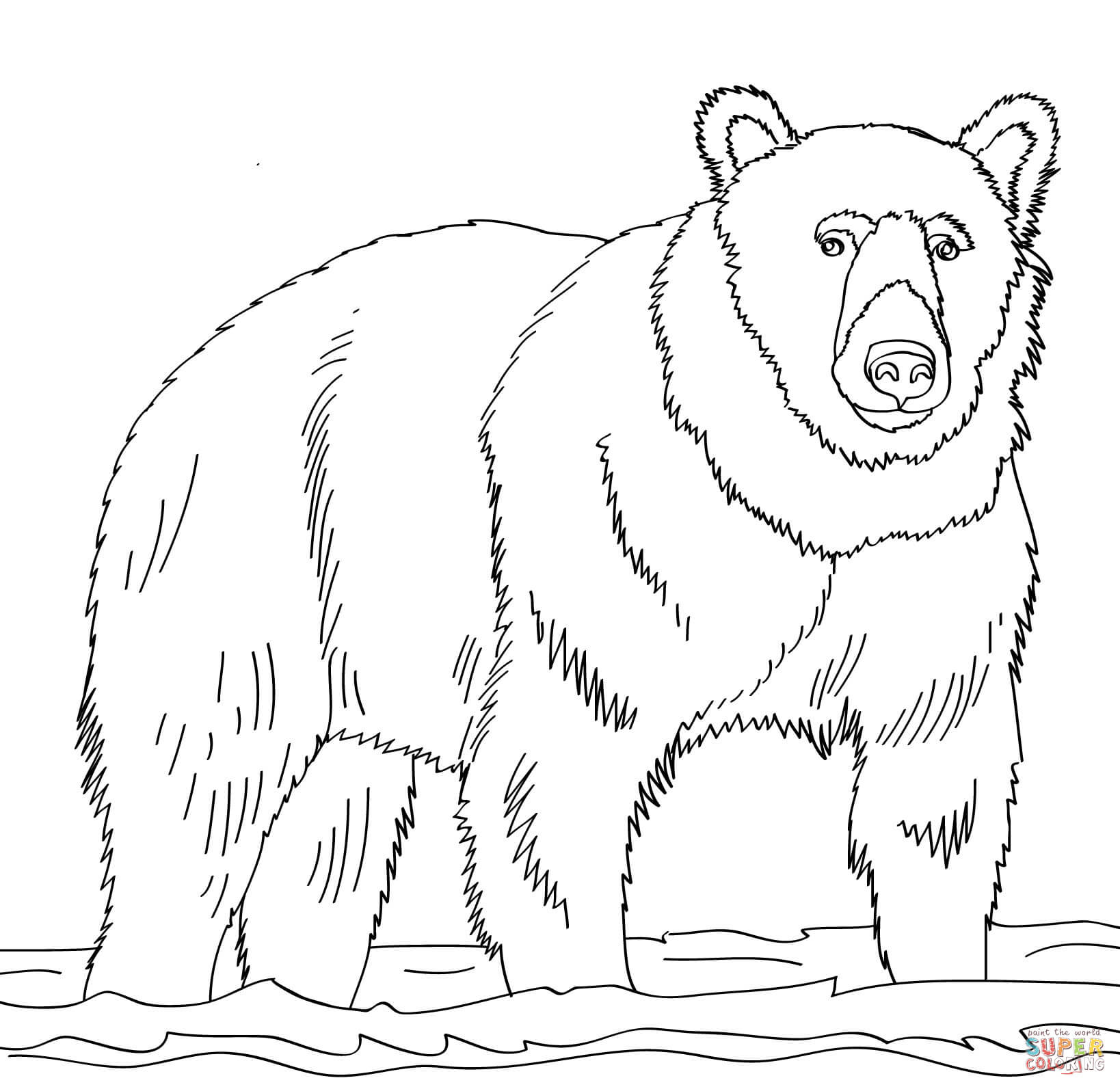 1638x1593 Awesome Ideas Bear Coloring Pages Polar Mom And Cub Coloringstar