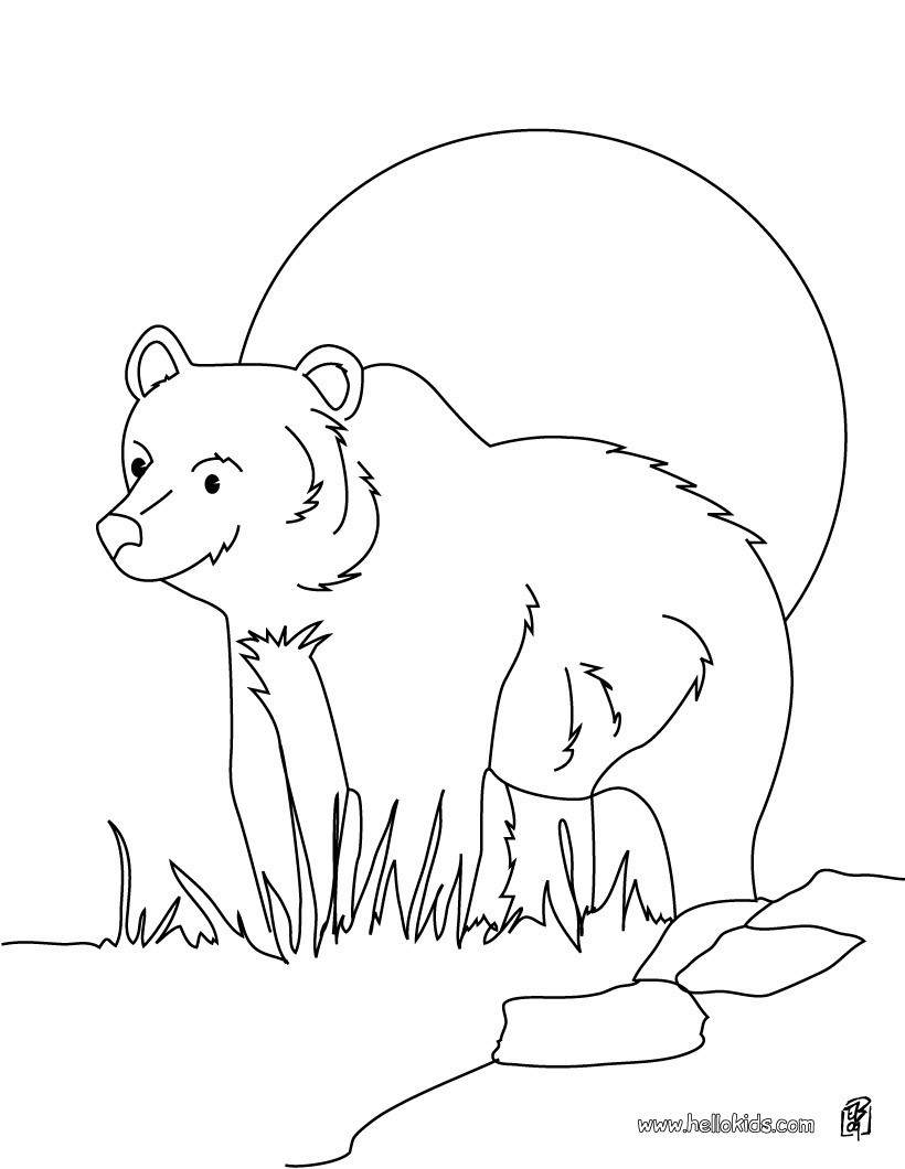 820x1060 Cute Brown Bear Cub Coloring Page Free Printable Pages Endearing