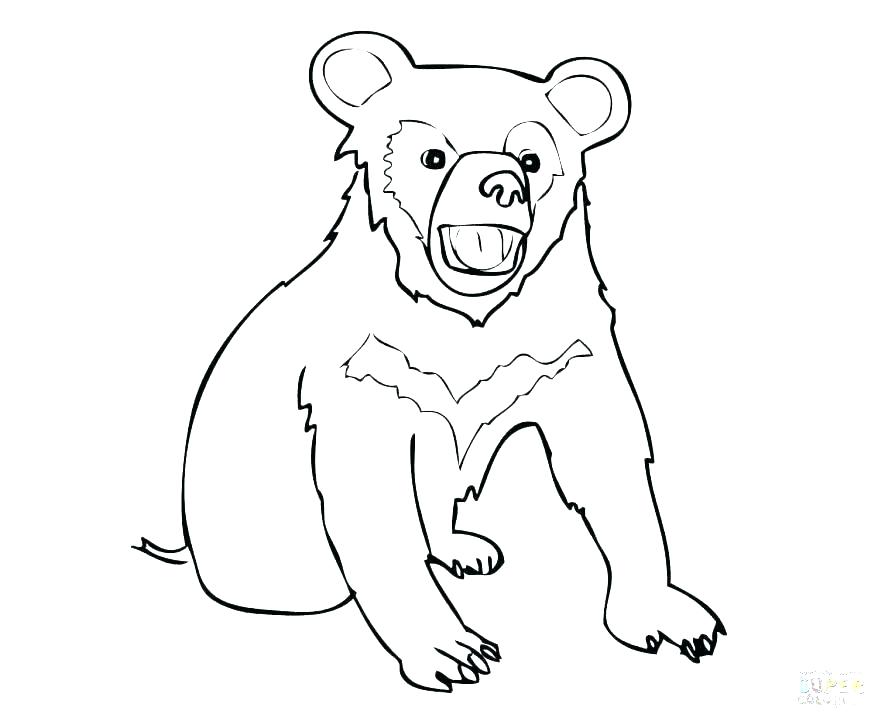 878x721 Black Bear Coloring Pages Impair.co