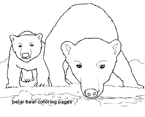 480x389 Bear Cub Coloring Pages Curious Polar Bear Mother And Cub Coloring