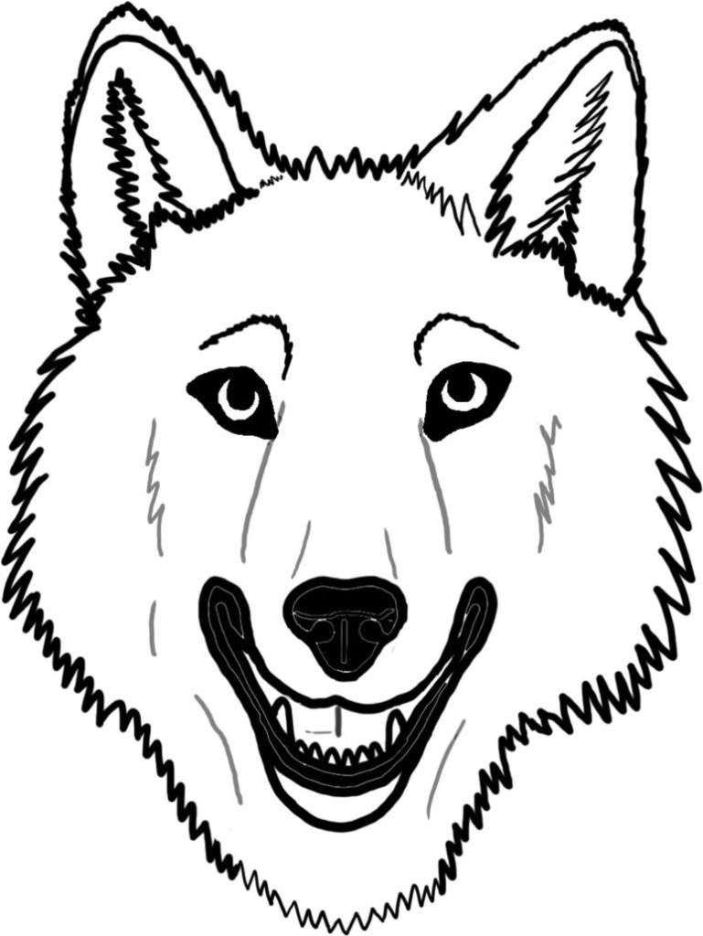 Bear Face Coloring Pages