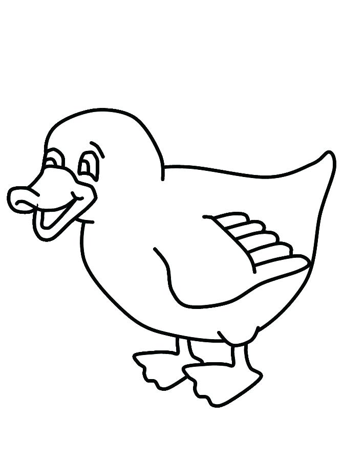 670x909 Bear Face Coloring Pages Brown What Do You See By Colorin