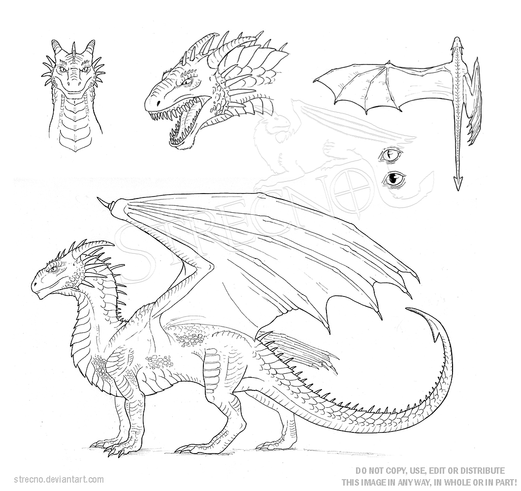 Bearded Dragon Coloring Page