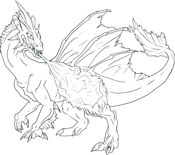 678x600 Dragon Color Pages Bearded Dragon Coloring Pages Draw Dragon Color