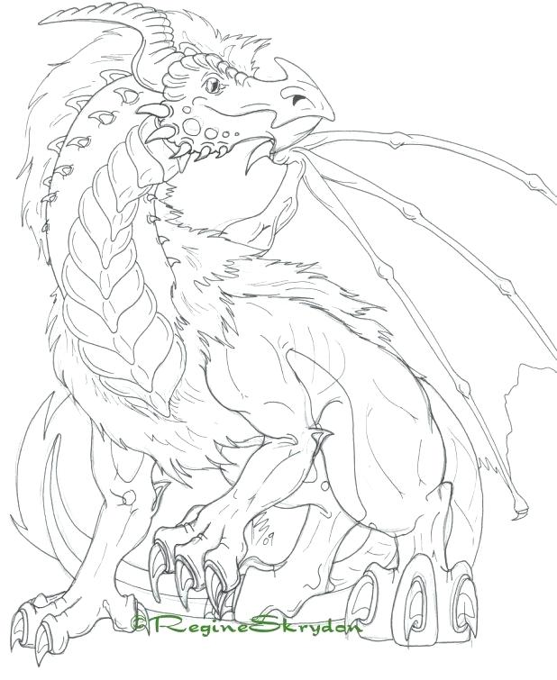 618x755 Dragon Pictures To Print