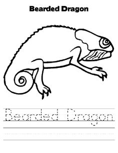 236x304 Free Bearded Dragon Coloring Page Picture Samantha White