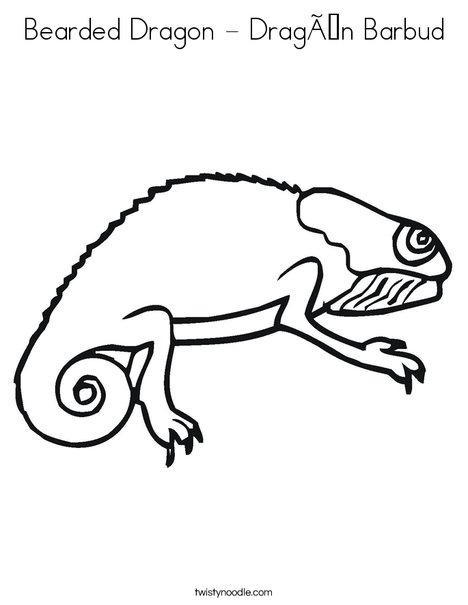 468x605 Bearded Dragon