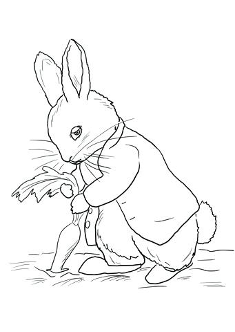 341x480 Beatrix Potter Coloring Pages Potter Free Printable Coloring