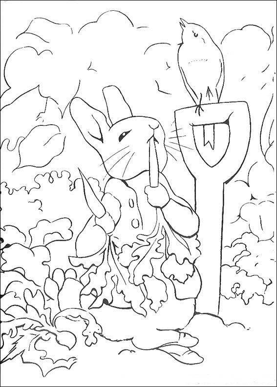 567x794 Coloring Beatrix Potter Peter Rabbit Coloring Pages