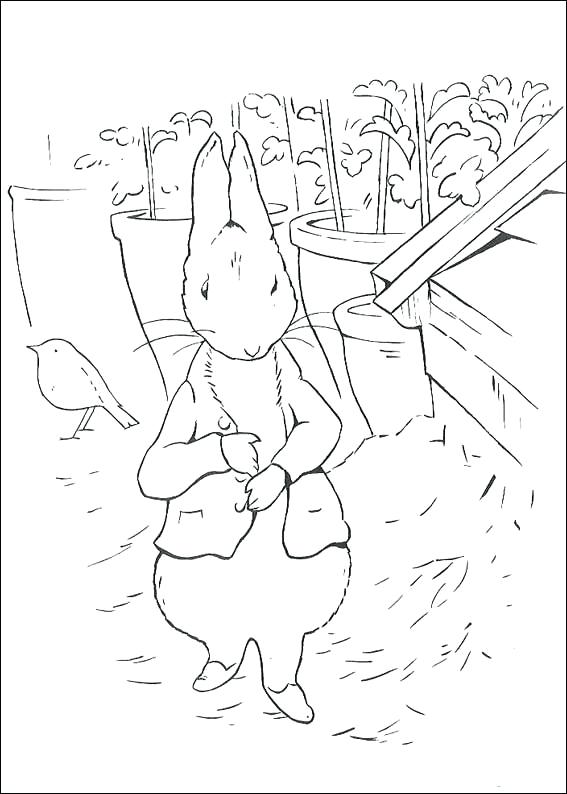 567x794 Coloring Pages Rabbit Peter Rabbit Coloring Pages Coloring Pages
