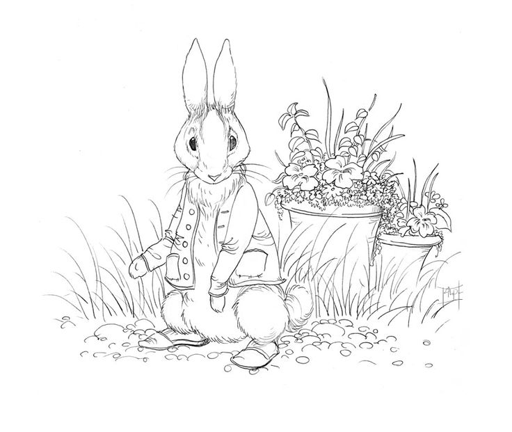 736x621 57 Best Beatrix Potter Colouring In Pictures Images