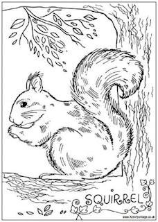 228x320 Beatrix Potter Coloring Page Free Download