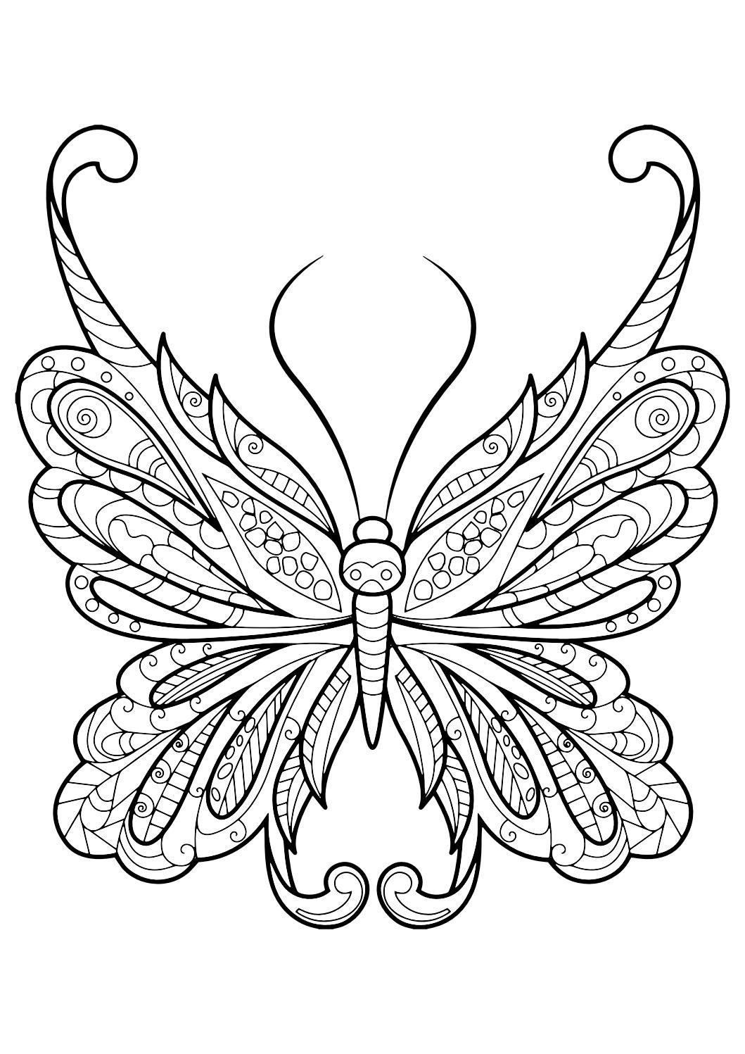 Beautiful Butterfly Coloring Pages