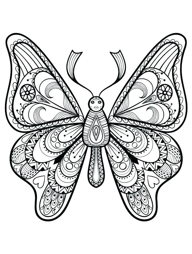 618x816 Butterfly Coloring Pages Free Beautiful Butterfly Coloring Pages