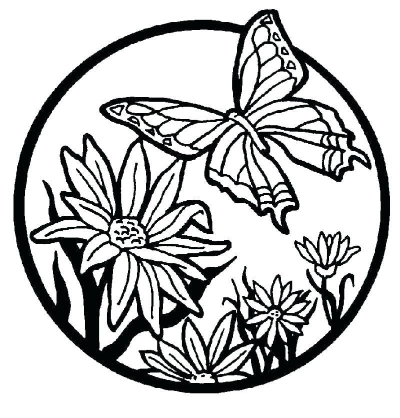 800x835 Ffa Coloring Pages Coloring Pages Coloring Pages Beautiful