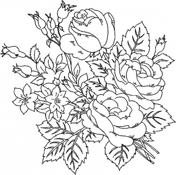 600x596 Rose Flower Coloring Pages For Beautiful Rose Coloring Pages