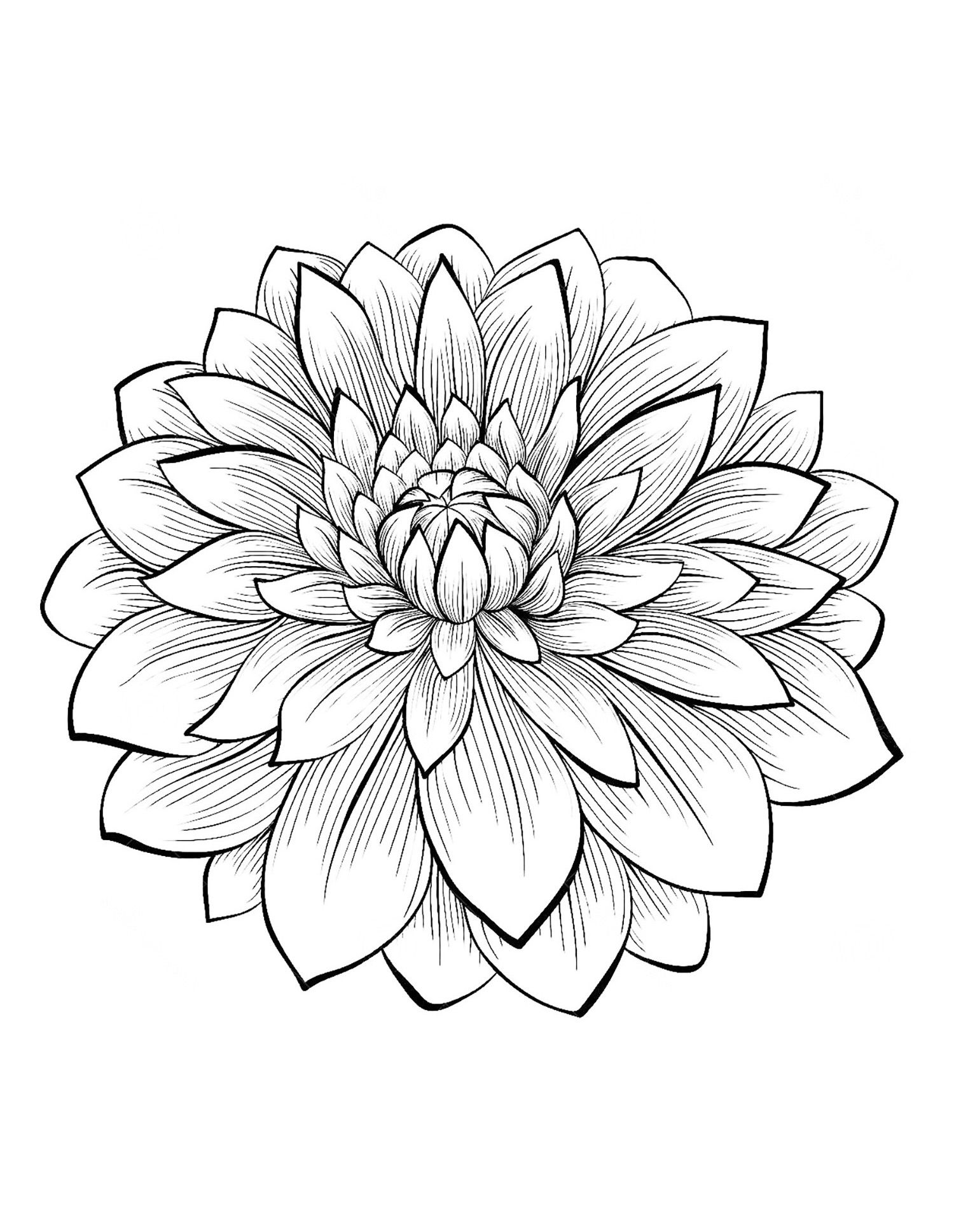 Beautiful Flower Coloring Pages