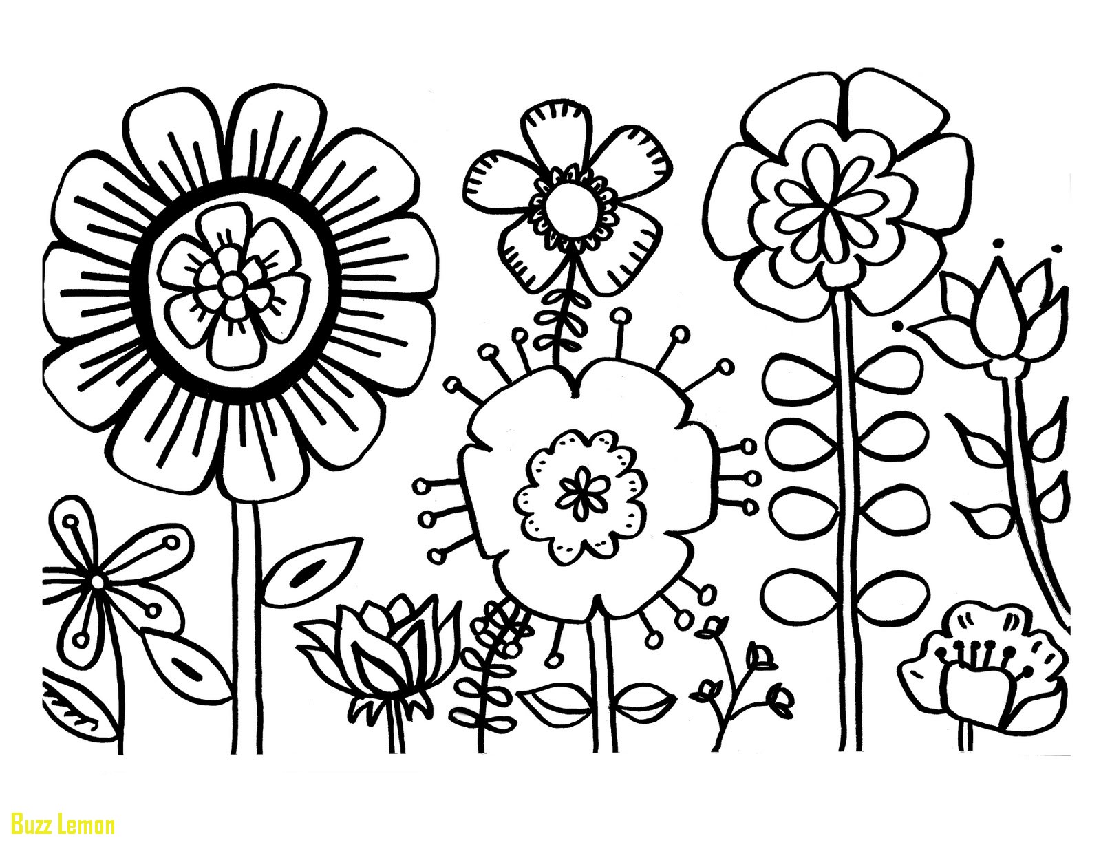 1600x1234 Coloring Pages Flowers Beautiful Flower Coloring Pages Free