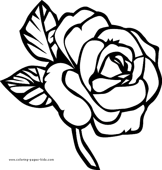 534x563 Coloring Pages Of Flowers Luxury Free Coloring Pages Of Flower