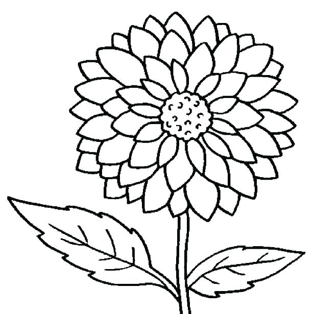 615x615 Printable Flowers To Color Printable Flowers To Color Pretty