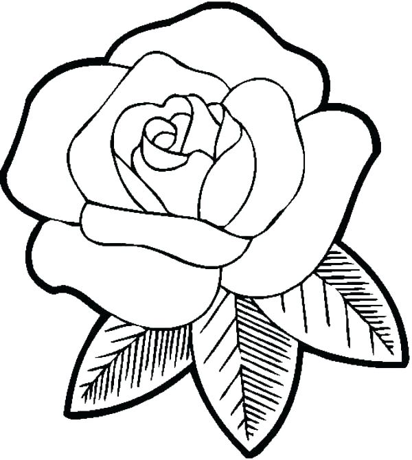 600x670 Roses Coloring Pages Printable Rose Coloring Books And Big Flower
