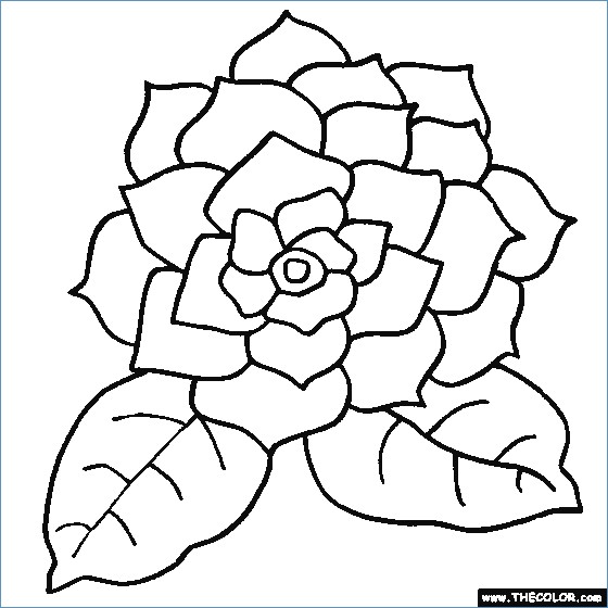 560x560 Beautiful Flower Coloring Pages