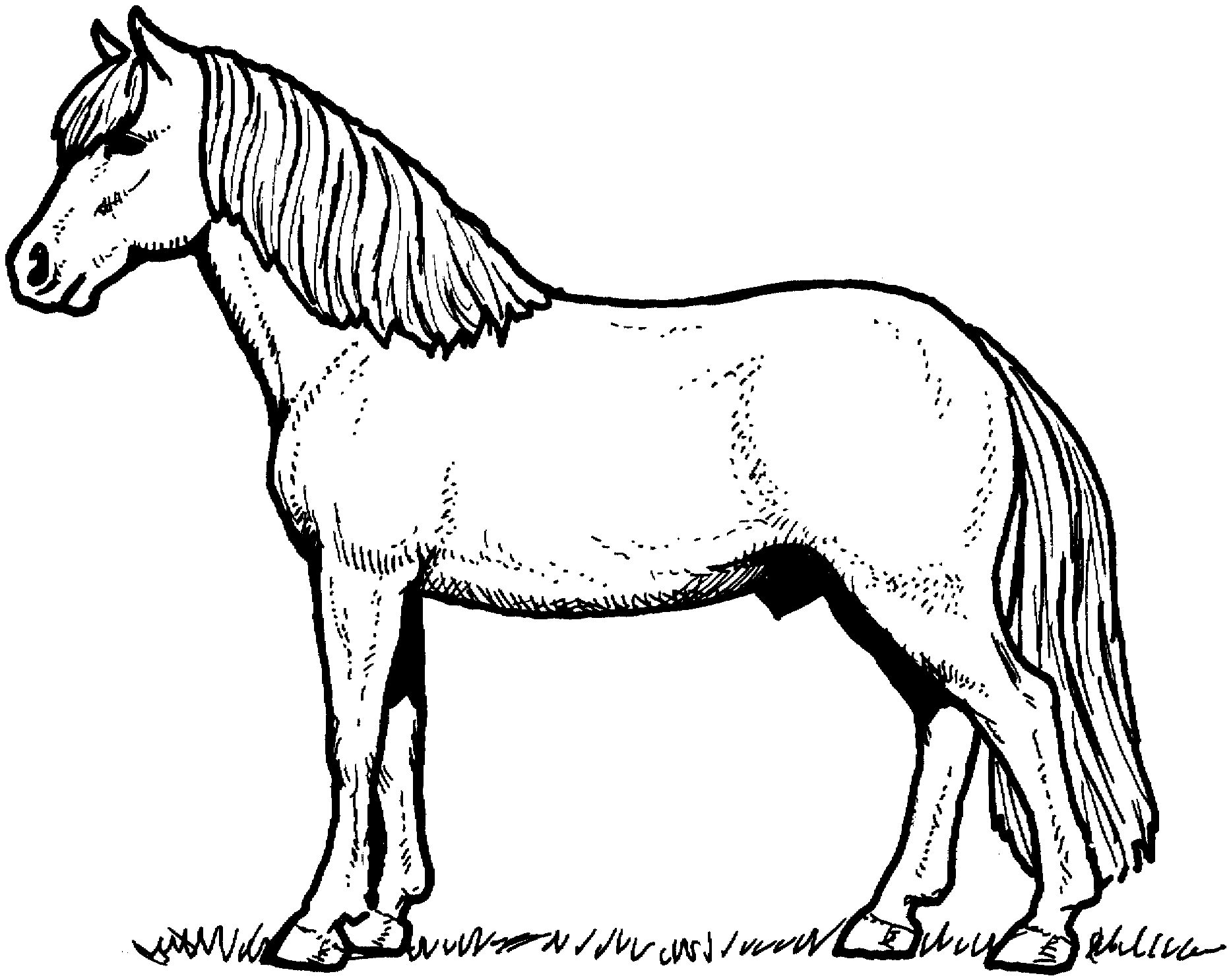 Beautiful Horse Coloring Pages