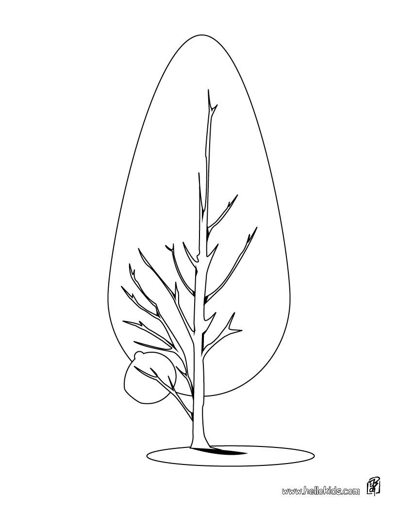 820x1060 Beautiful Natural Coloring Page. Perfect Coloring Sheet For Kids