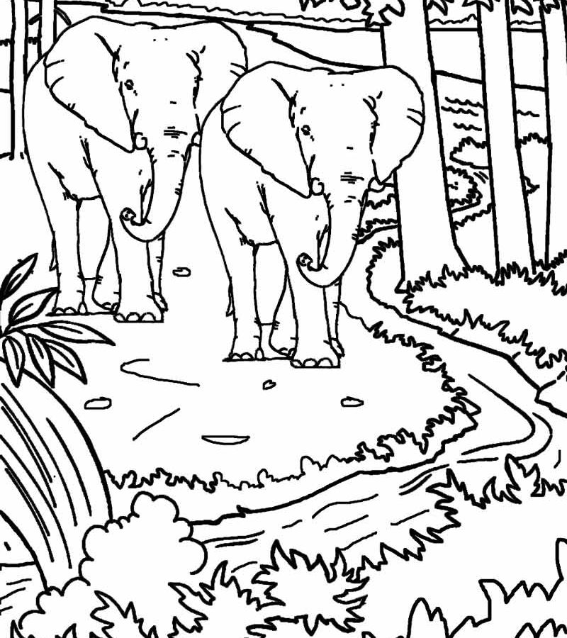 800x900 Nature Coloring Page For Kids With Rainbow Printable Beautiful