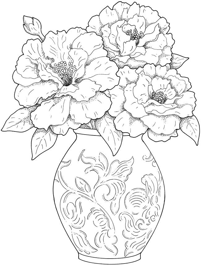 650x860 321 Best Color Plants Images On Coloring Pages