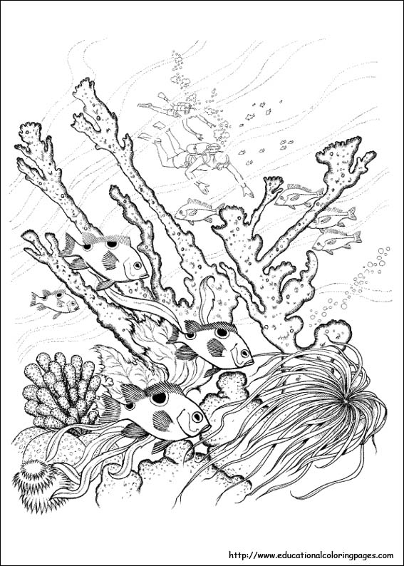 567x794 Nature Coloring Pages