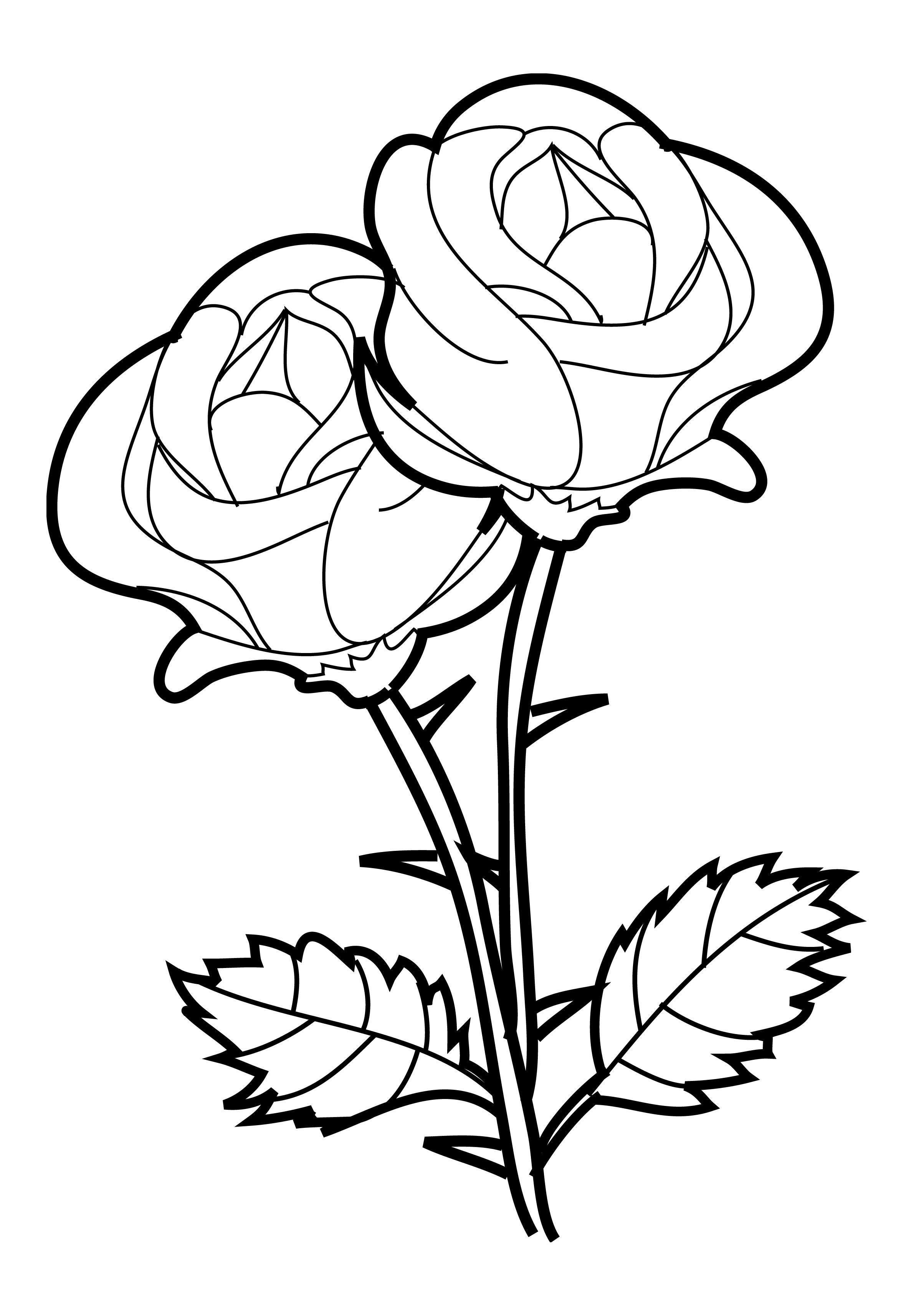 2407x3366 Beauty And The Beast Rose Coloring Pages