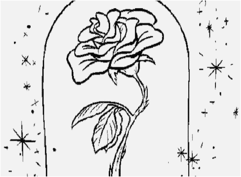 827x609 Coloring Pages Roses Image Beauty And The Beast Rose Coloring