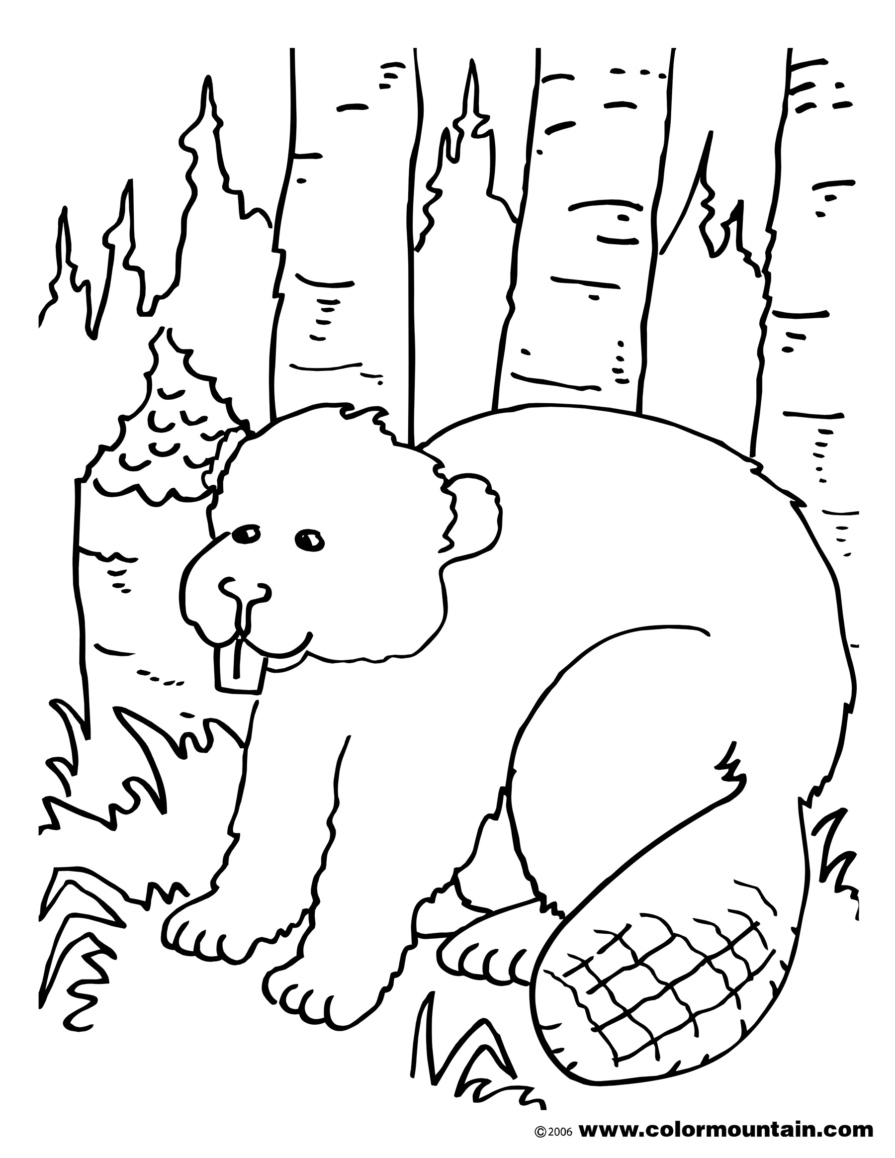 1800x2329 Big Beaver Coloring Page