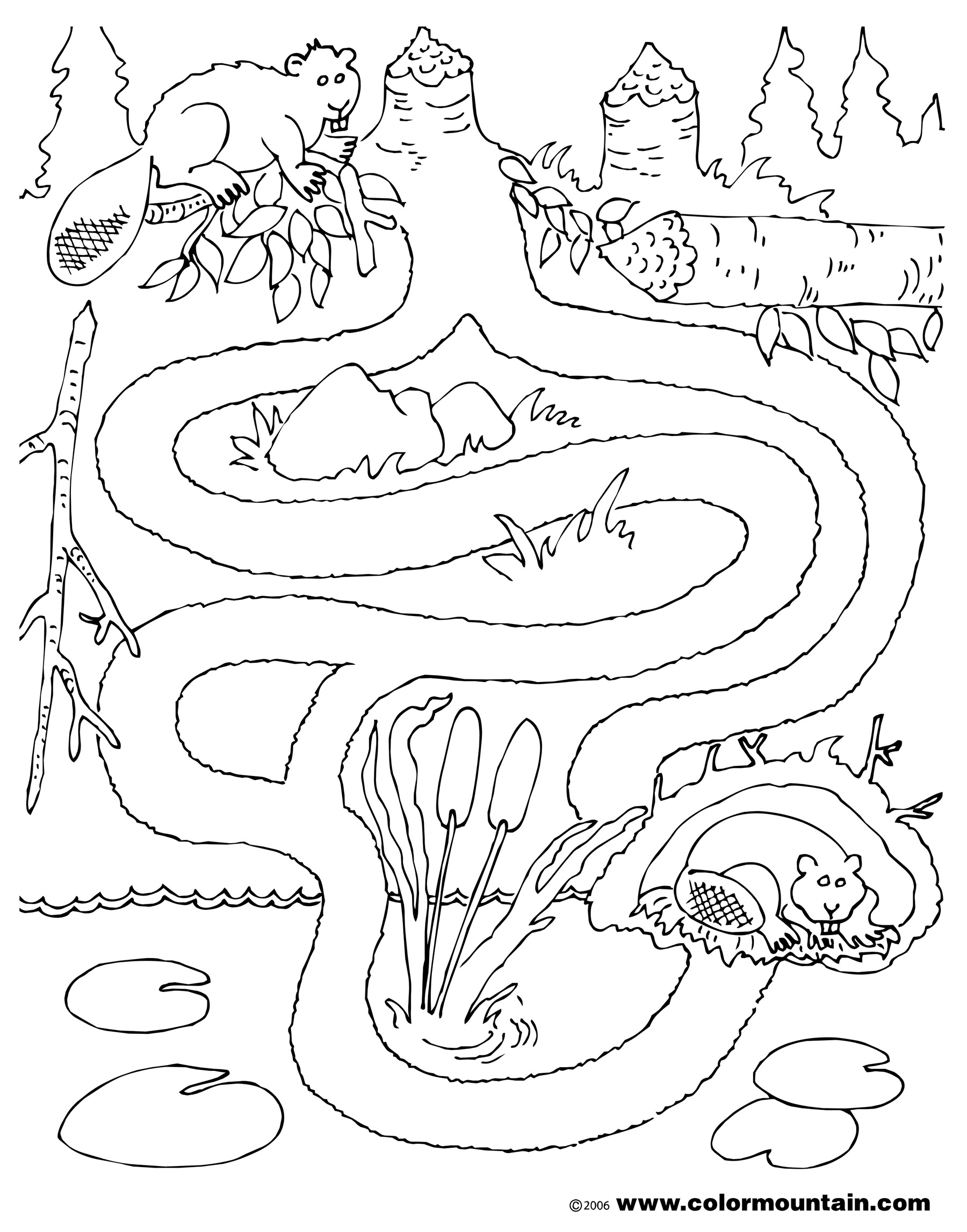 1800x2294 Labyrinths