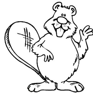 300x300 Picture Of A Beaver Coloring Page Picture Of A Beaver Coloring