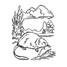 Beaver Dam Coloring Page